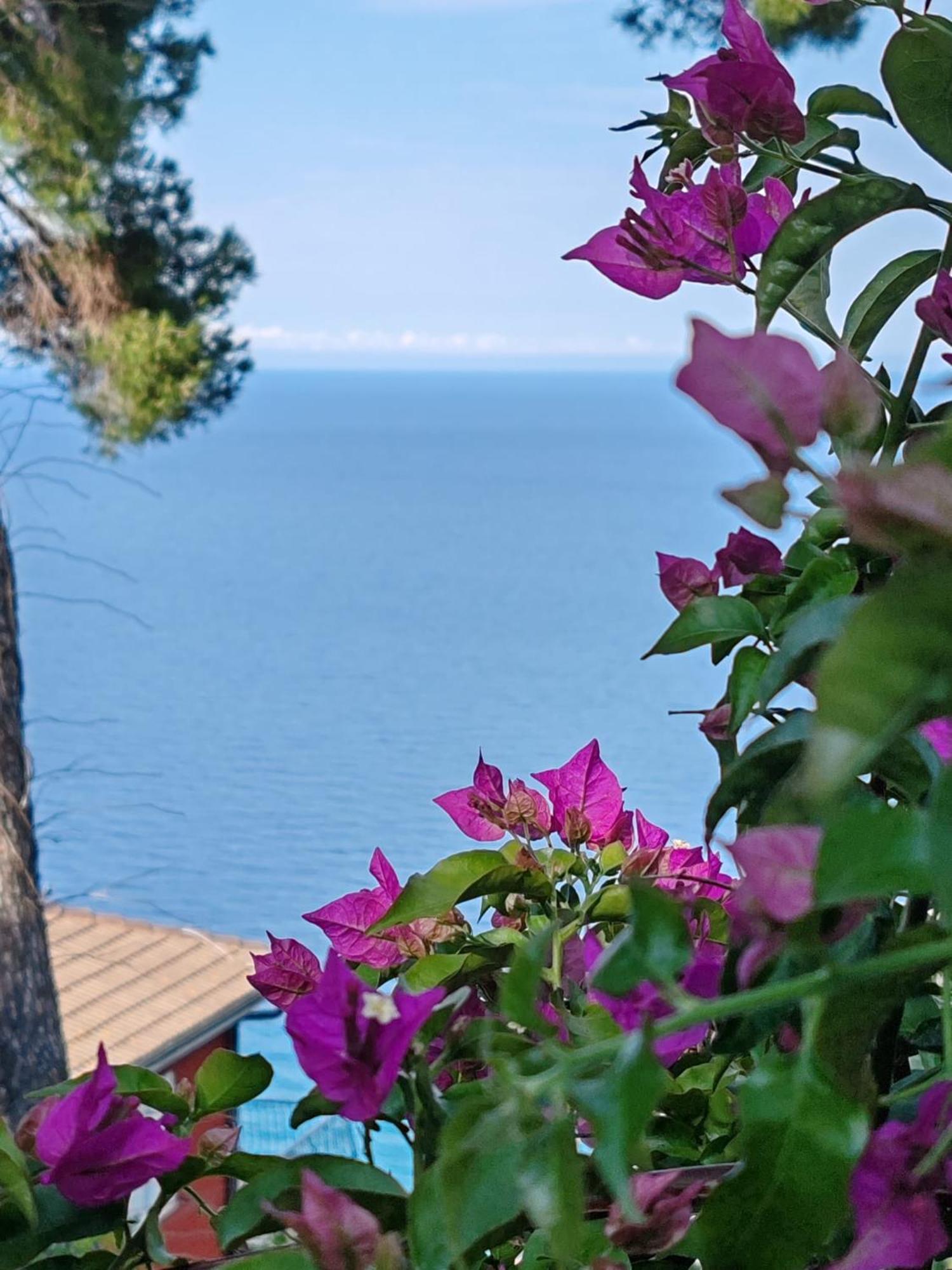 Appartamento Vista Mare アルベンガ エクステリア 写真